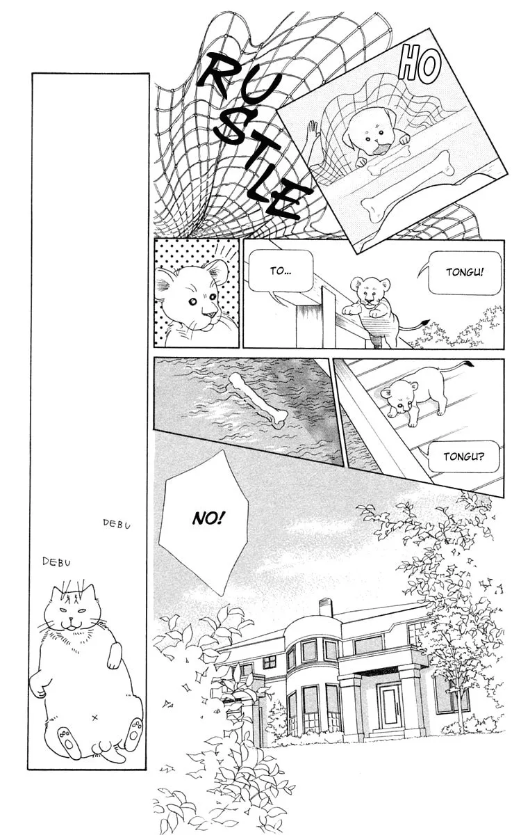 Read Wild Cats chapter 2 image 30 on Lezhin