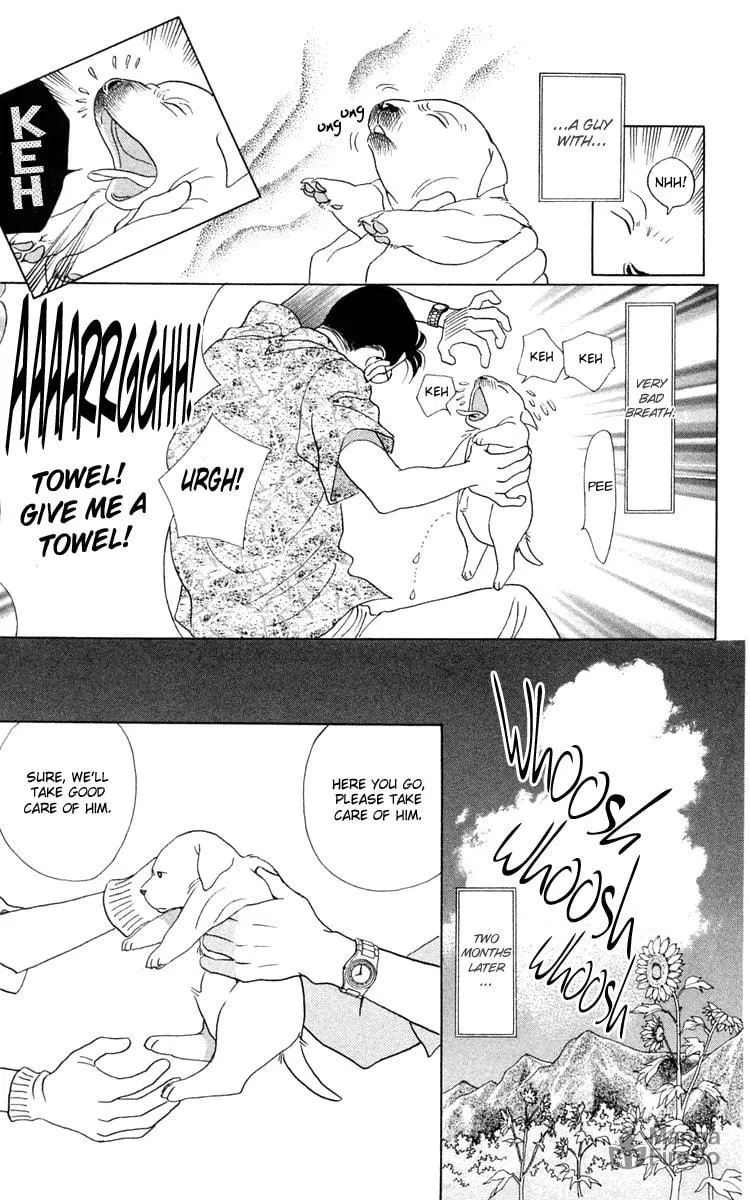 Read Wild Cats chapter 2 image 4 on Lezhin