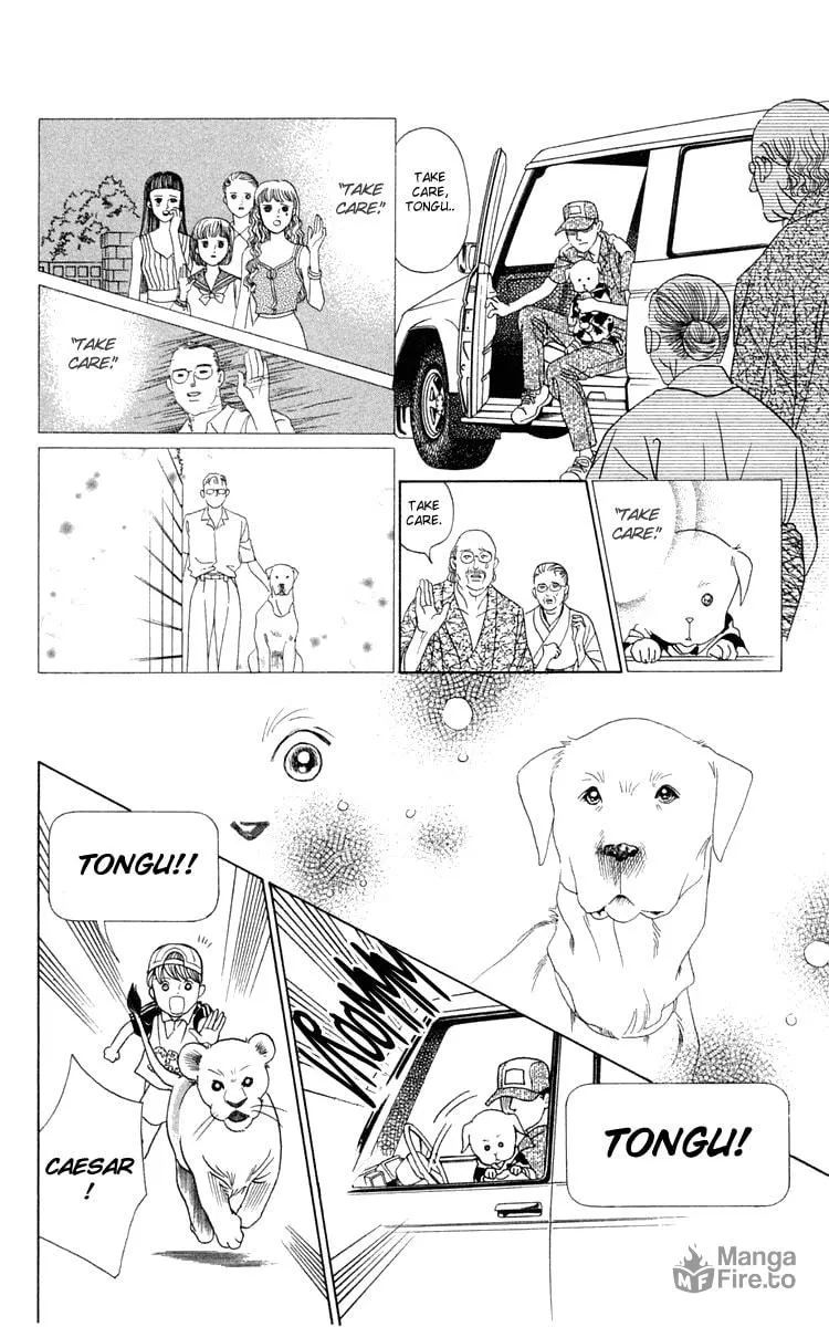 Read Wild Cats chapter 2 image 47 on Lezhin