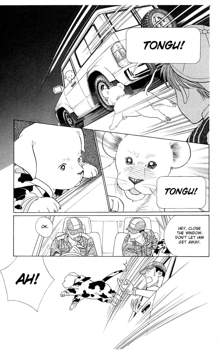 Read Wild Cats chapter 2 image 48 on Lezhin