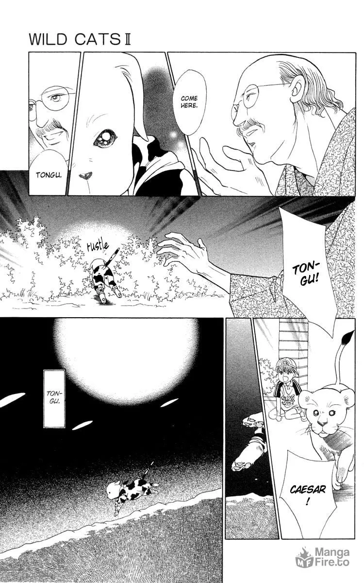 Read Wild Cats chapter 2 image 50 on Lezhin