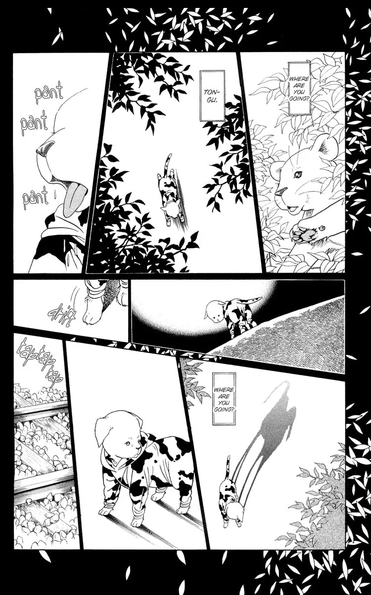 Read Wild Cats chapter 2 image 51 on Lezhin