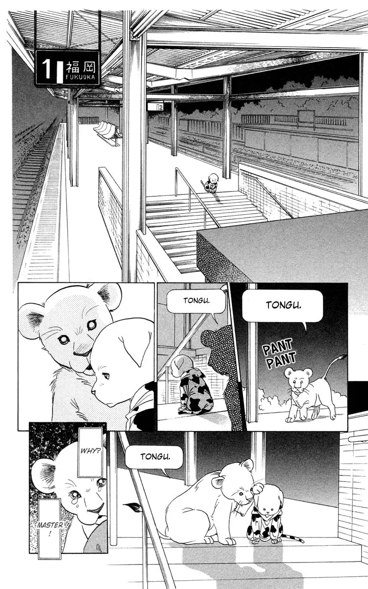 Read Wild Cats chapter 2 image 57 on Lezhin