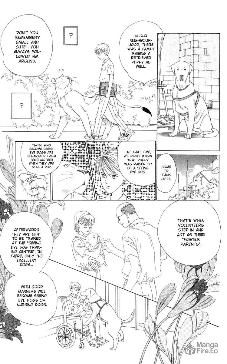 Read Wild Cats chapter 2 image 62 on Lezhin