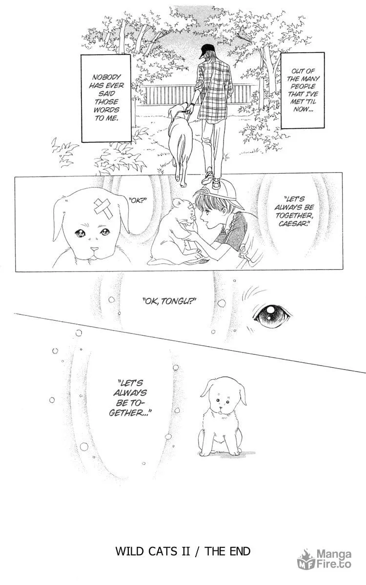 Read Wild Cats chapter 2 image 69 on Lezhin