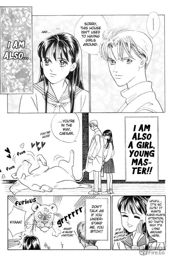 Read Wild Cats chapter 3 image 17 on Lezhin