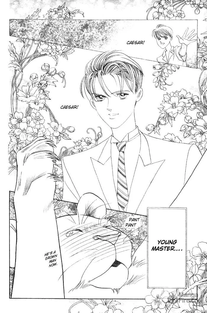 Read Wild Cats chapter 3 image 2 on Lezhin