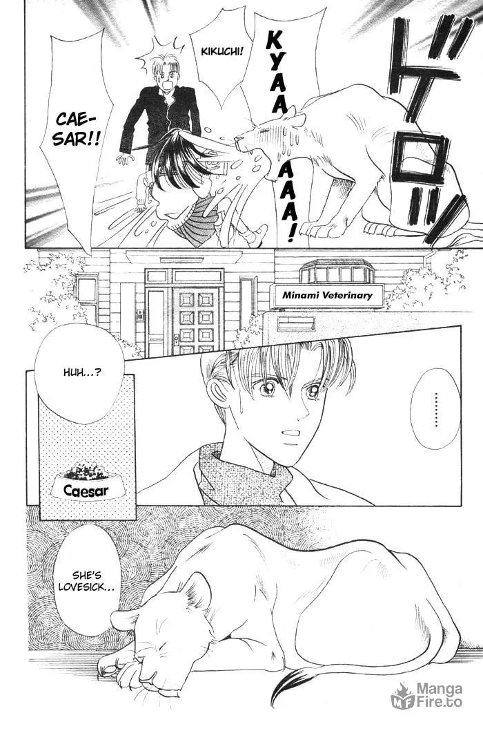 Read Wild Cats chapter 3 image 24 on Lezhin