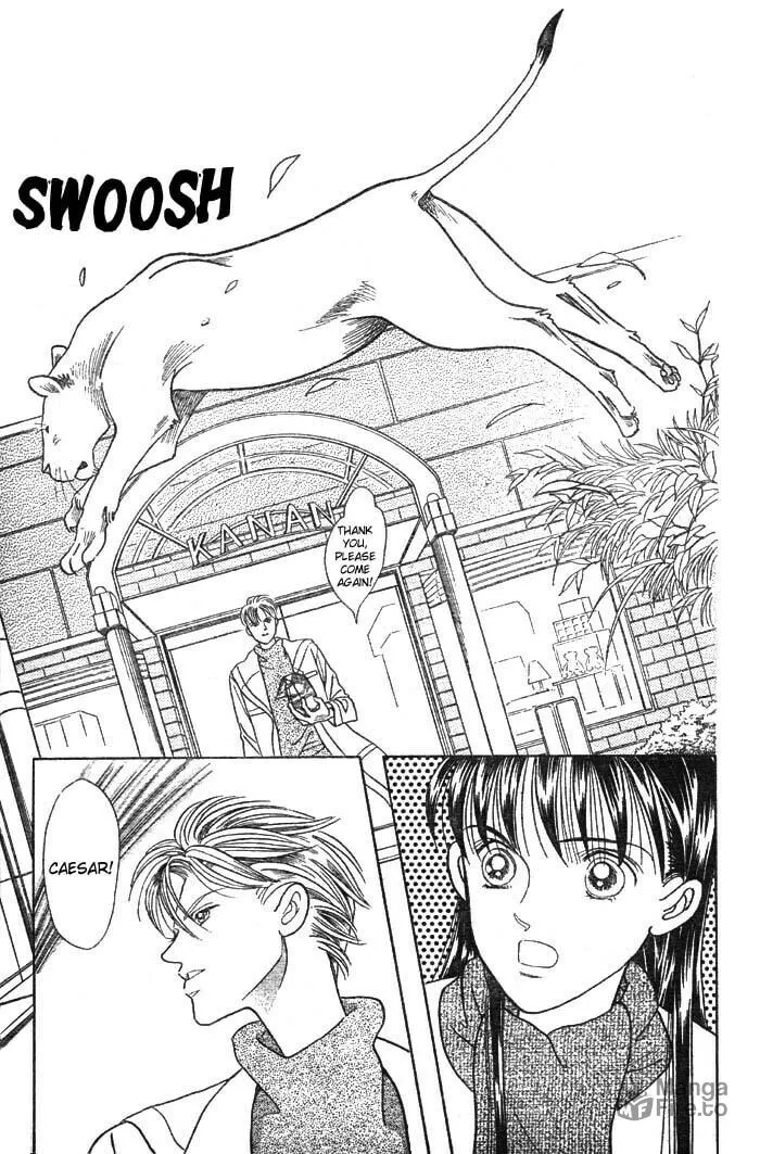Read Wild Cats chapter 3 image 35 on Lezhin