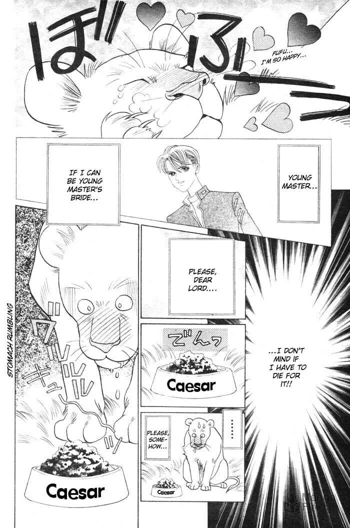 Read Wild Cats chapter 3 image 4 on Lezhin