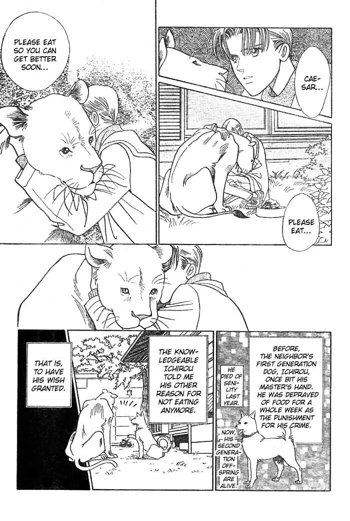 Read Wild Cats chapter 3 image 43 on Lezhin