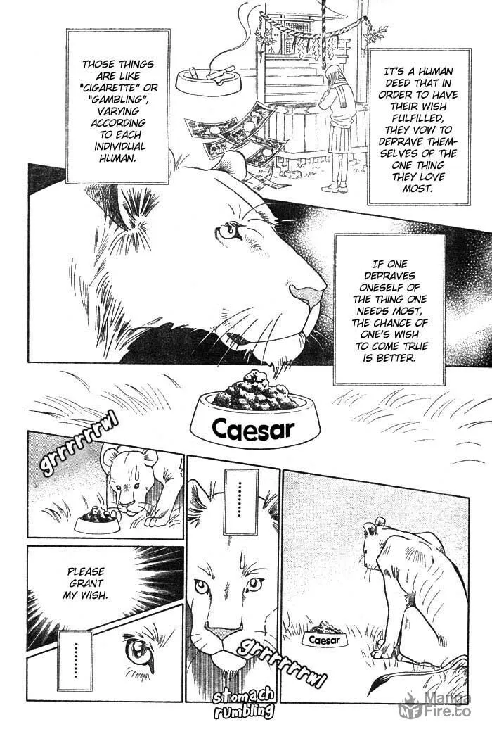 Read Wild Cats chapter 3 image 44 on Lezhin