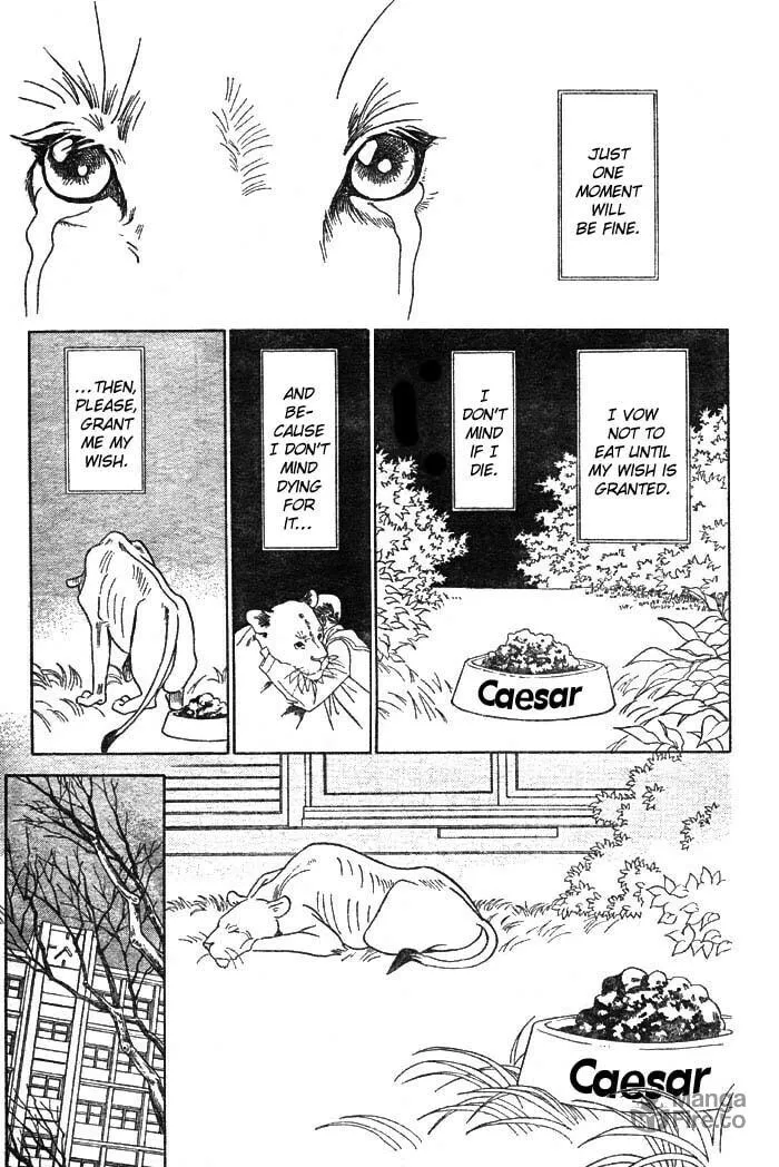 Read Wild Cats chapter 3 image 47 on Lezhin