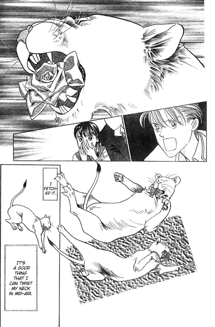 Read Wild Cats chapter 3 image 61 on Lezhin