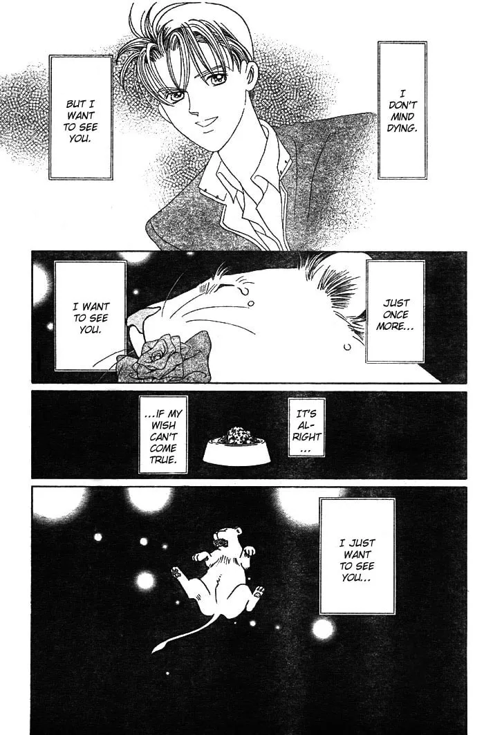 Read Wild Cats chapter 3 image 63 on Lezhin