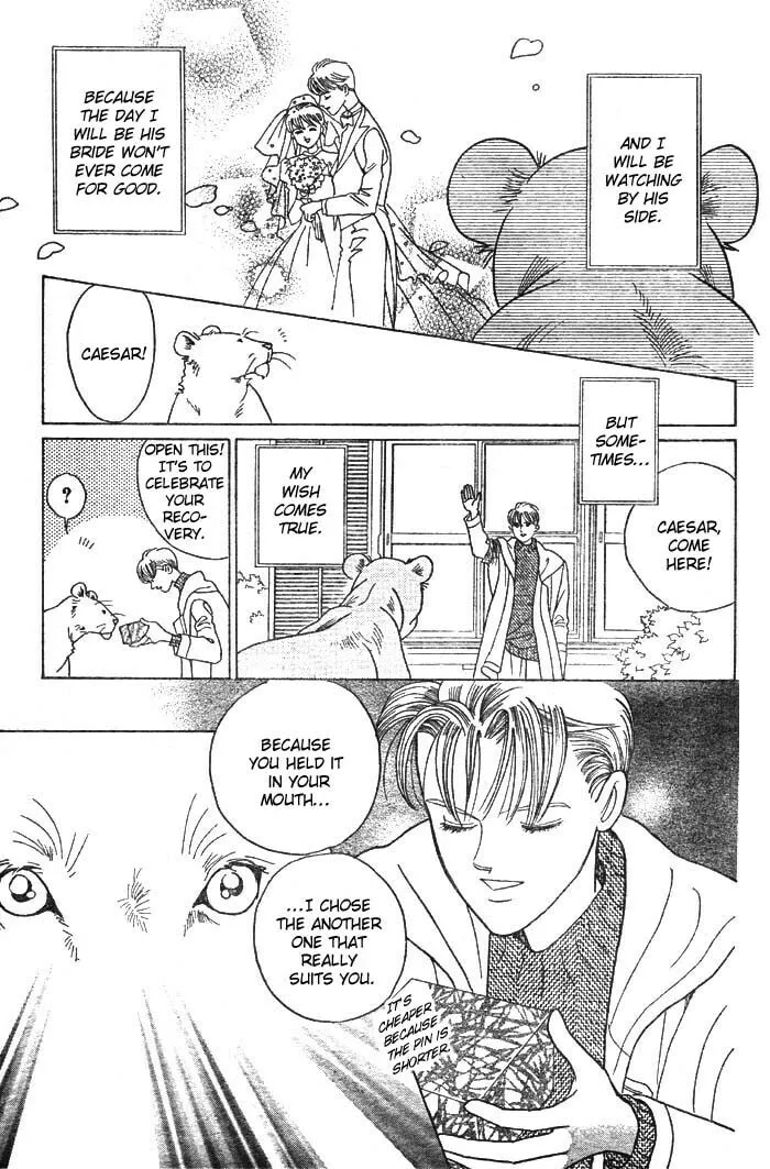 Read Wild Cats chapter 3 image 67 on Lezhin