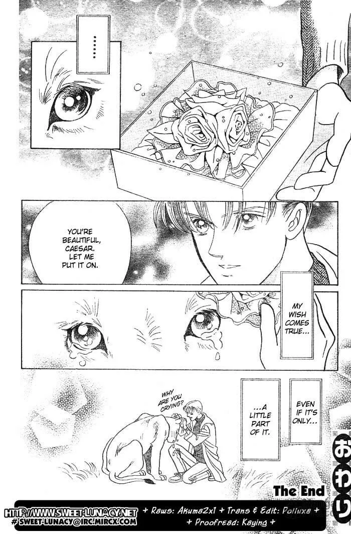 Read Wild Cats chapter 3 image 68 on Lezhin