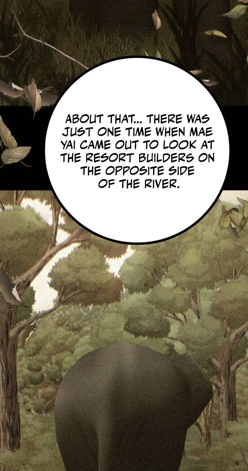 Read Wild Protectress chapter 11 image 23 on Lezhin