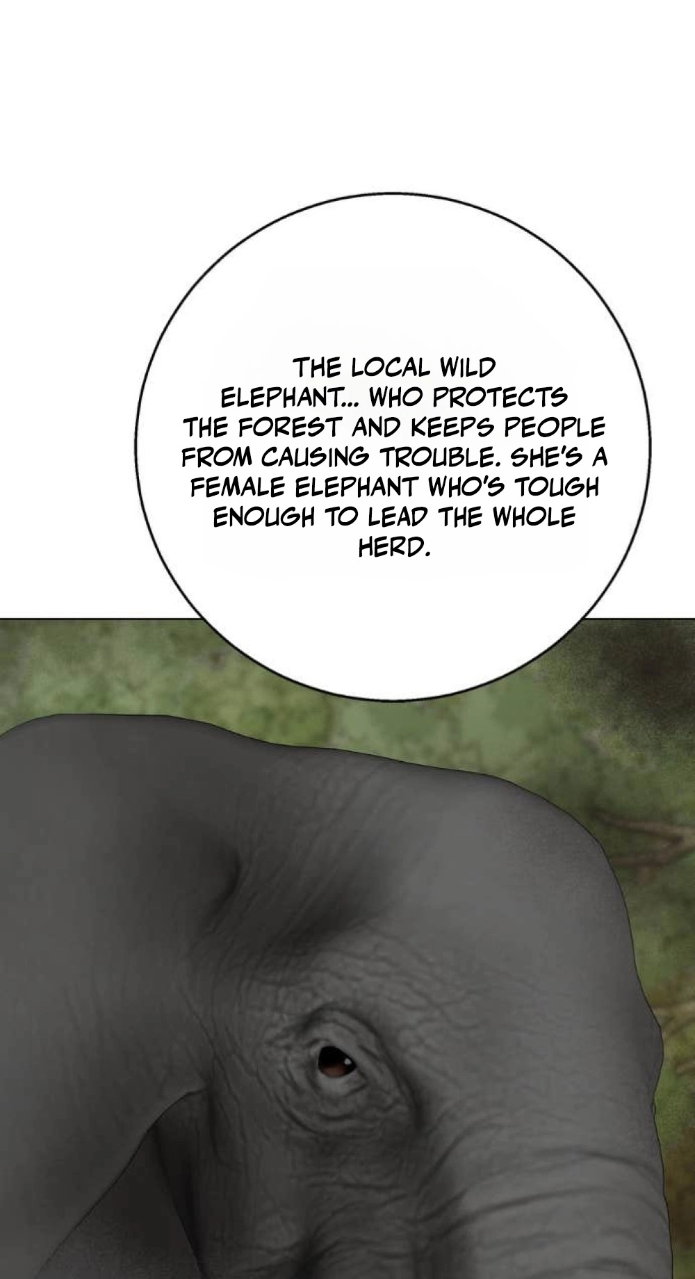 Read Wild Protectress chapter 21 image 63 on Lezhin
