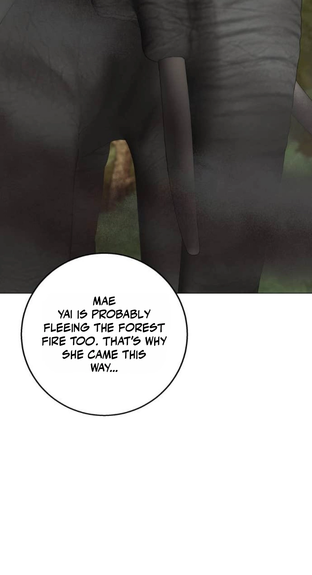 Read Wild Protectress chapter 21 image 64 on Lezhin