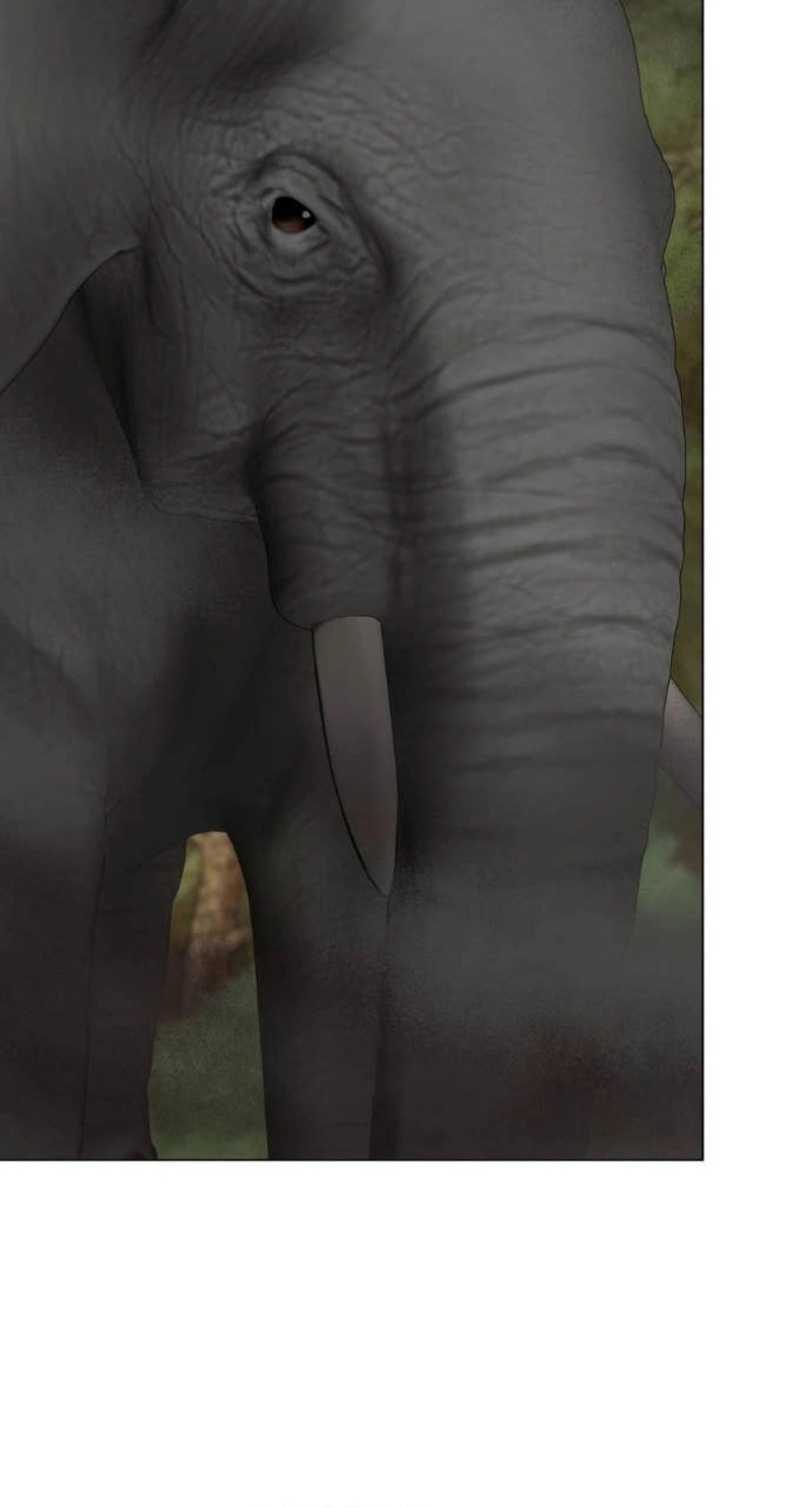 Read Wild Protectress chapter 22 image 38 on Lezhin