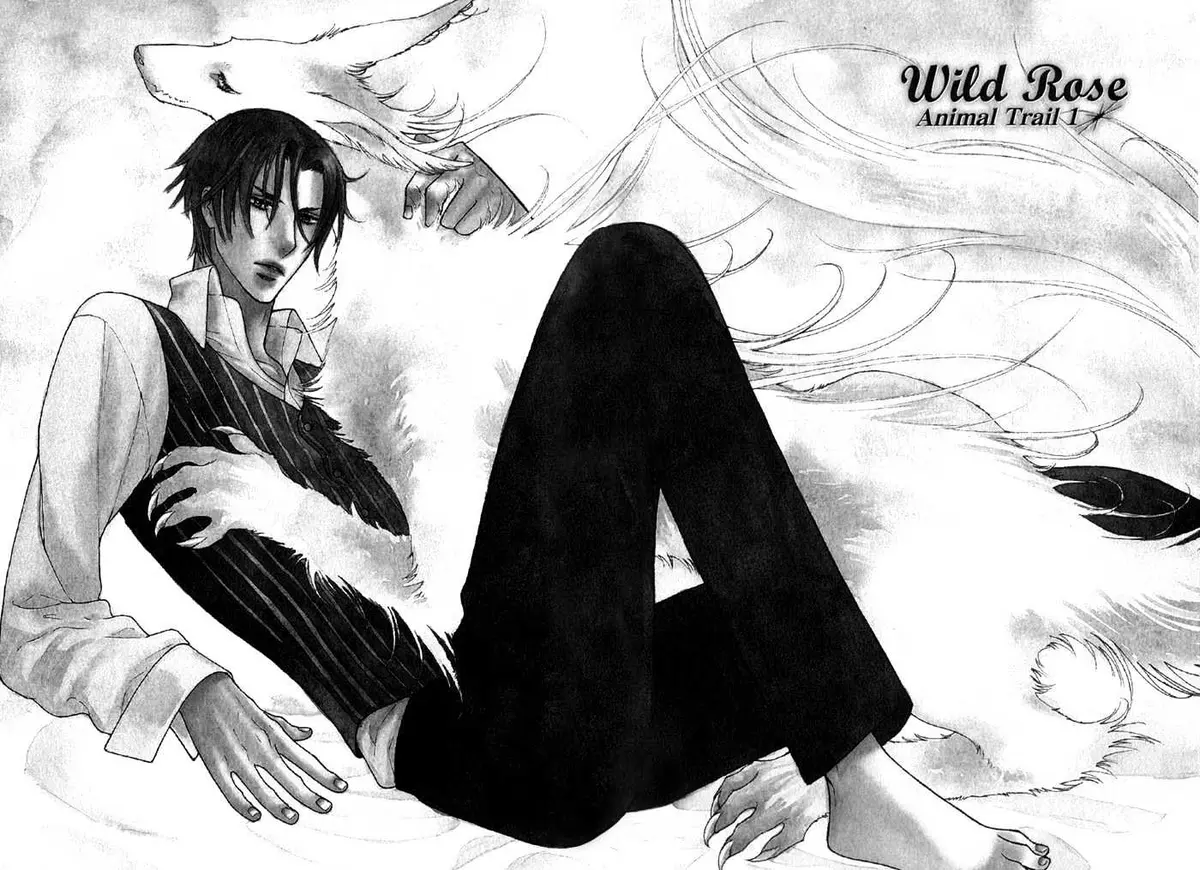 Read Wild Rose chapter 1 image 9 on Lezhin