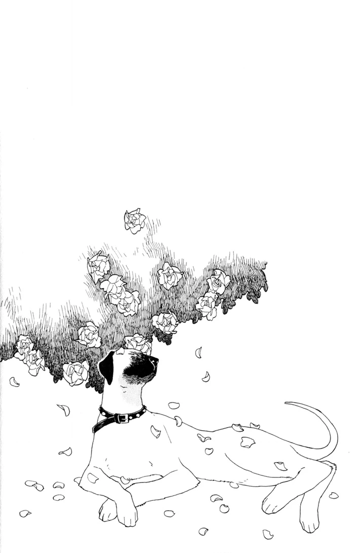 Read Wild Rose chapter 2 image 29 on Lezhin
