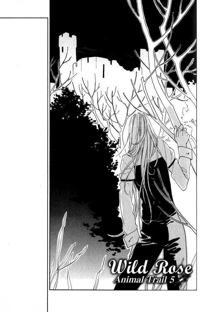 Read Wild Rose chapter 5 image 4 on Lezhin