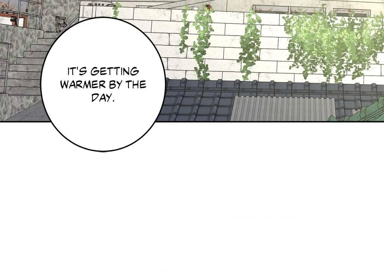 Will the roasted beans sprout? Chapter 106 page 39 - 