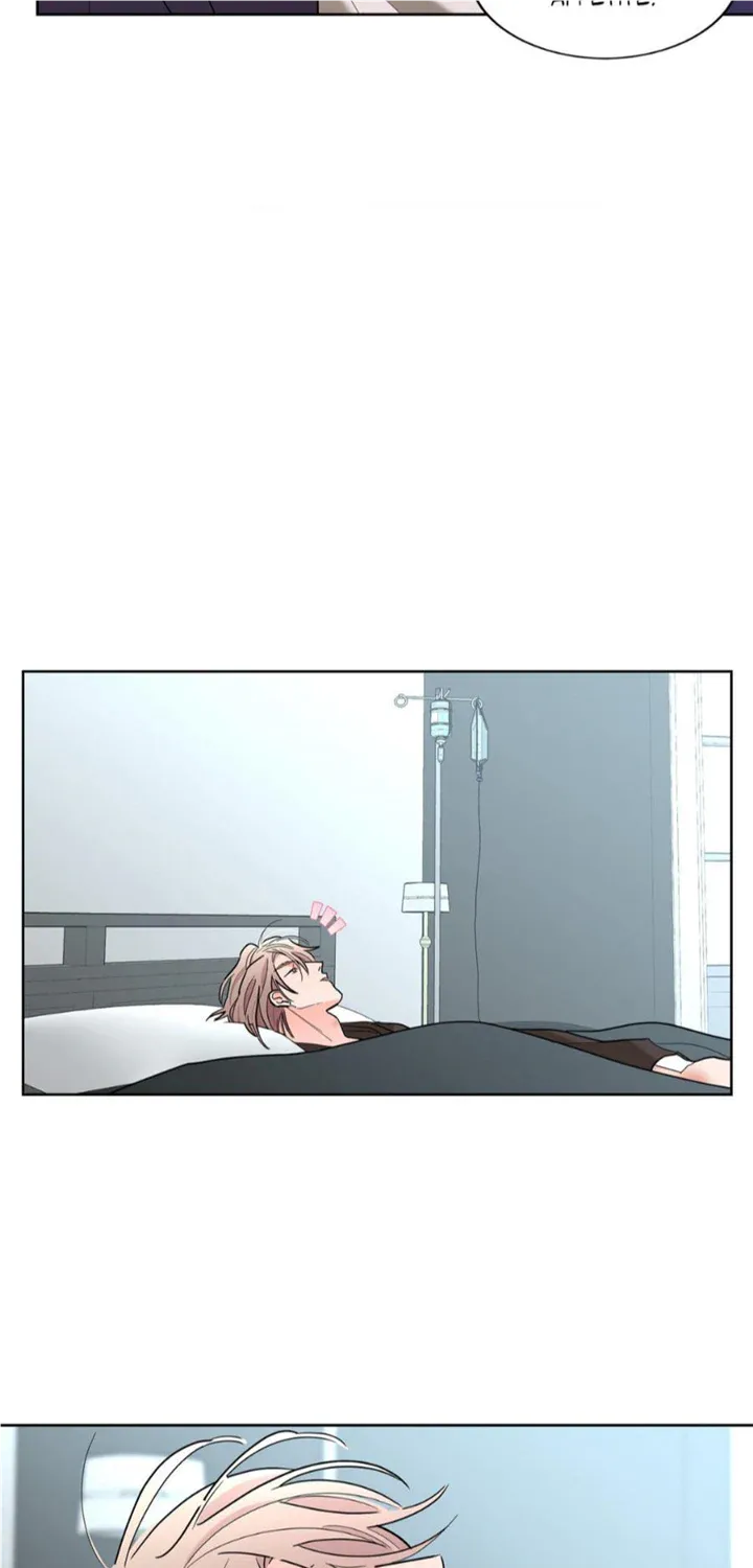 Will the roasted beans sprout? Chapter 48 page 42 - 