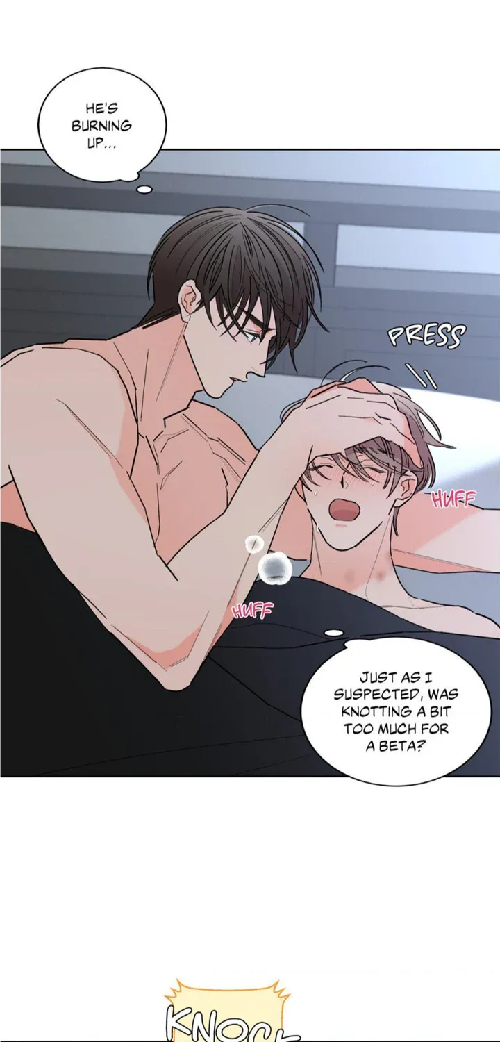Will the roasted beans sprout? Chapter 48 page 6 - 