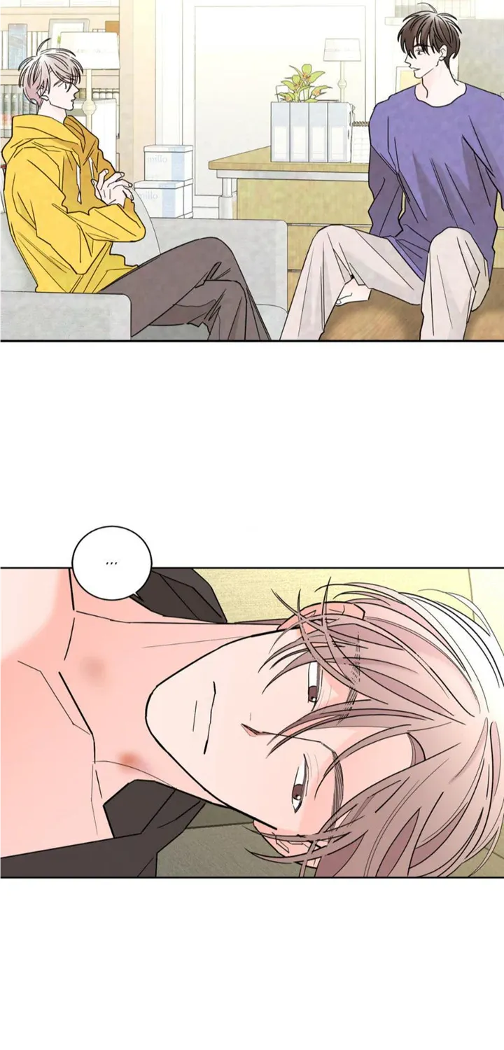 Will the roasted beans sprout? Chapter 49 page 49 - 