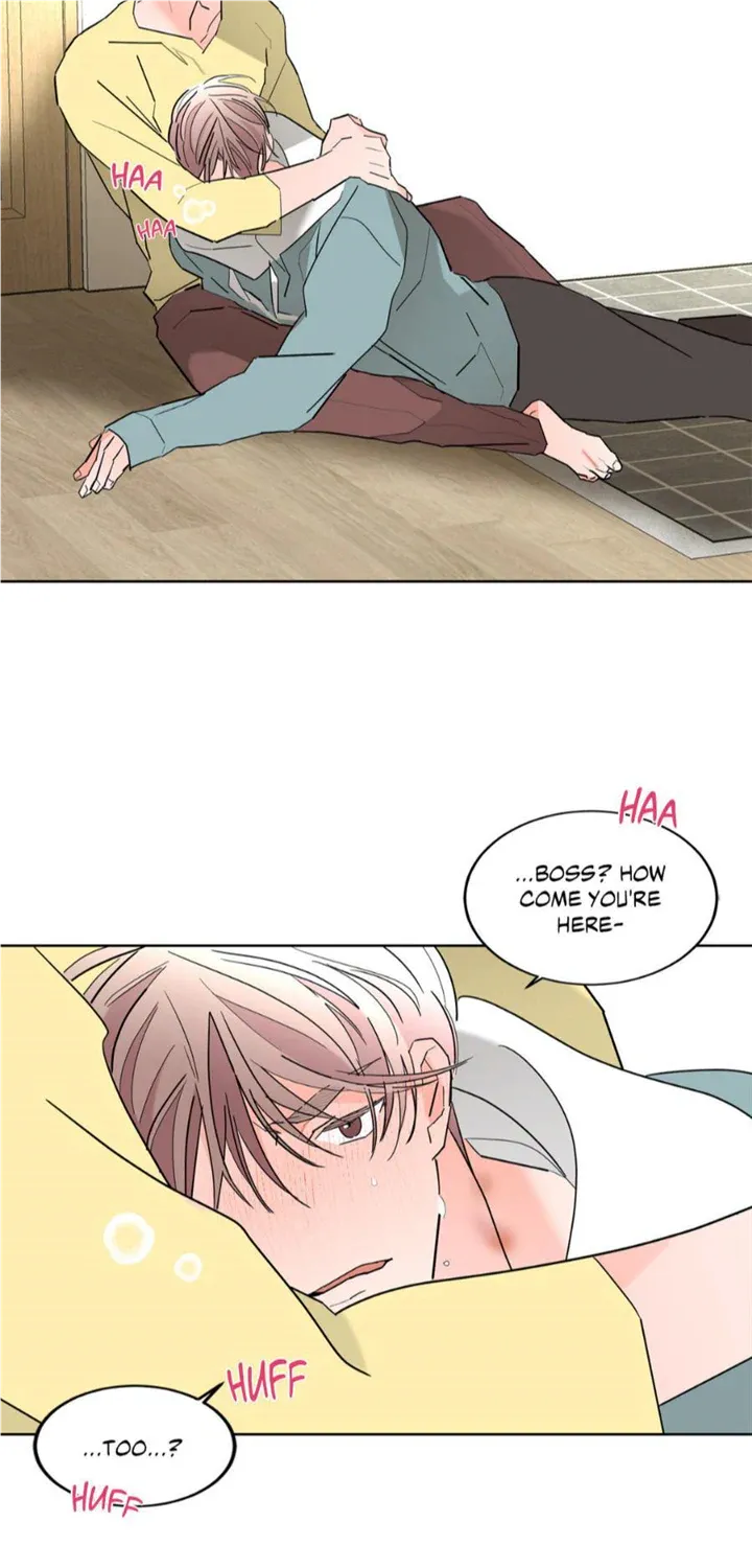 Will the roasted beans sprout? Chapter 50 page 49 - 