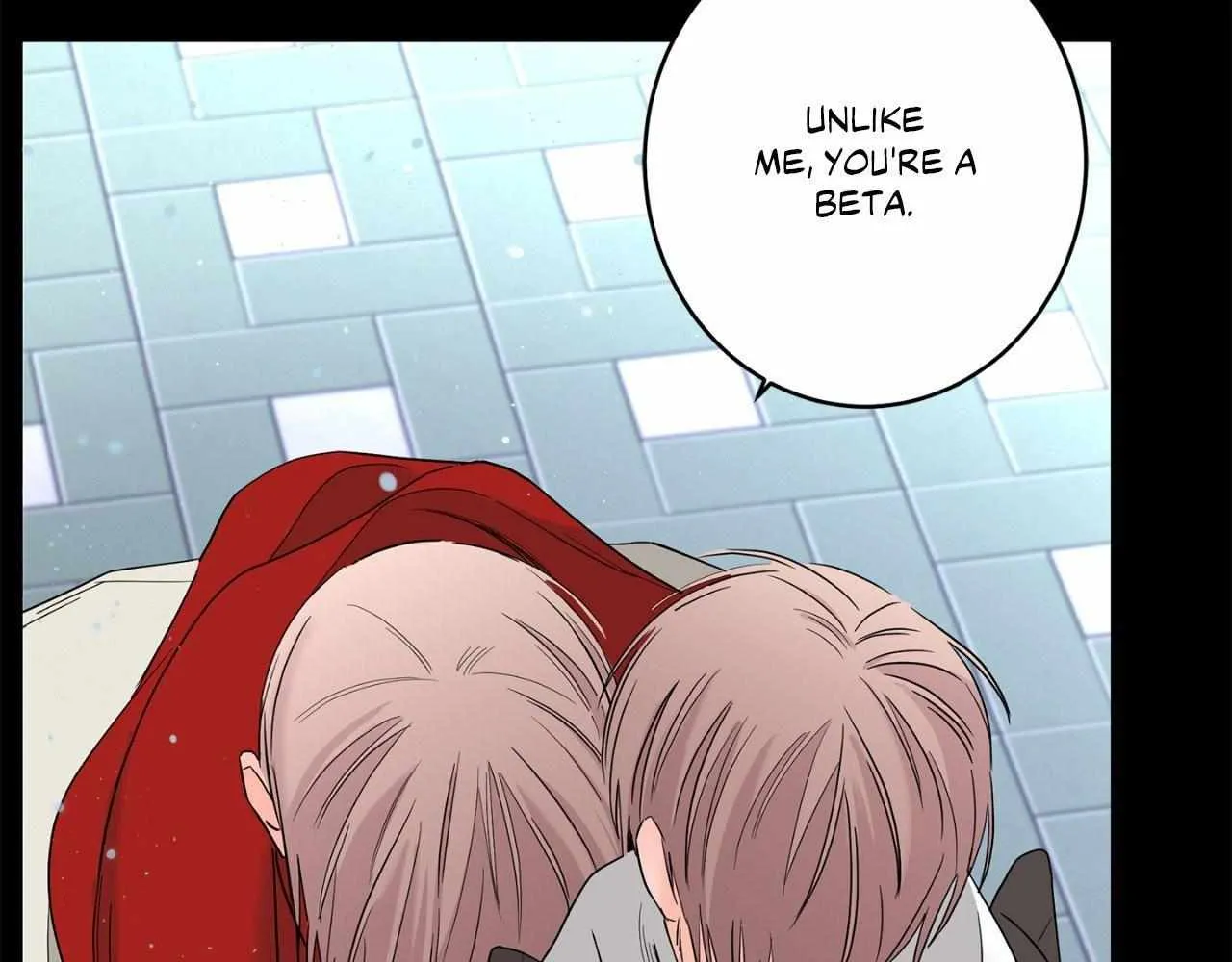 Will the roasted beans sprout? Chapter 76 page 49 - 