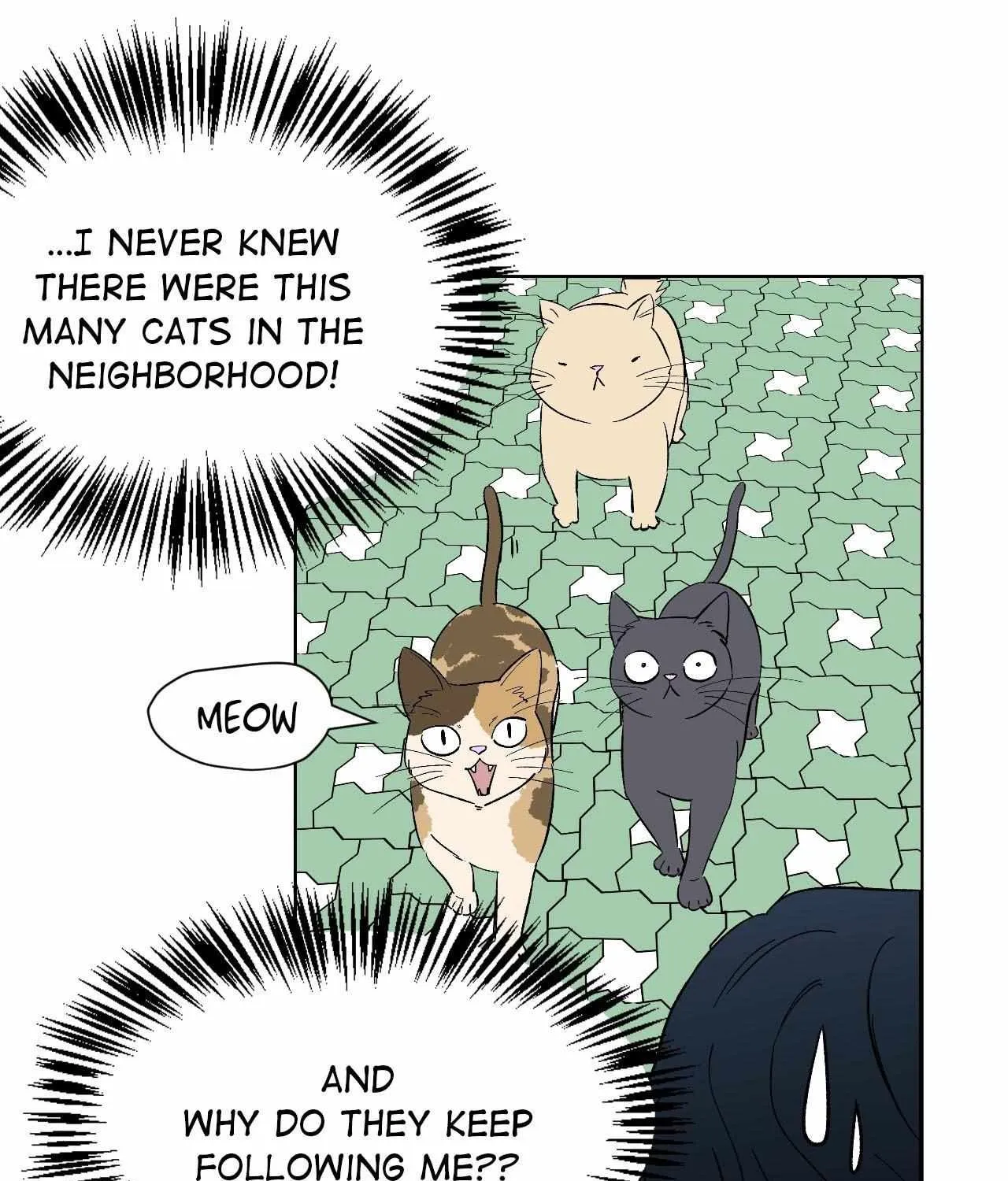Read Wind Beneath My Wings chapter 43 image 15 on Lezhin