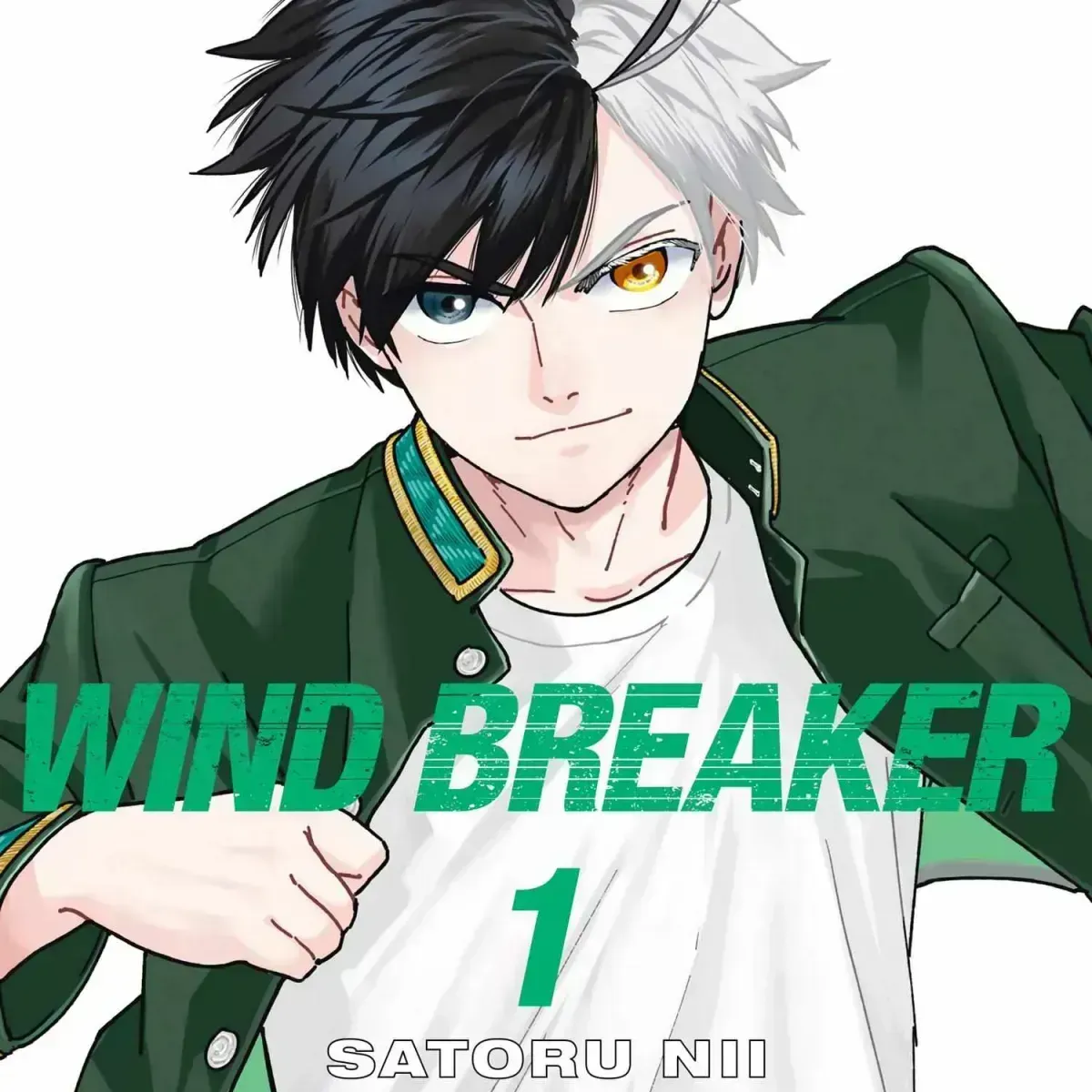 Read WindBreaker chapter 1.8 image 0 on Lezhin