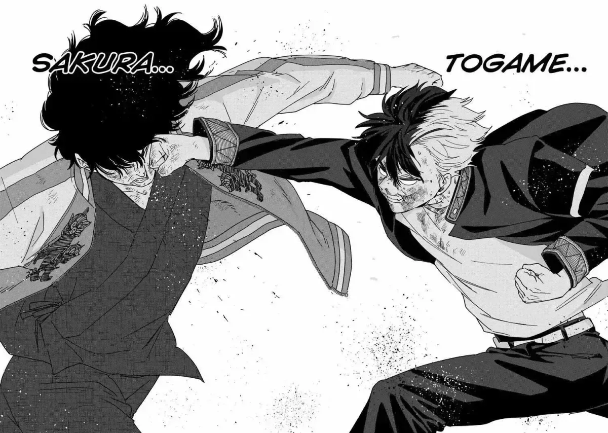 Read WindBreaker chapter 15.5 image 280 on Lezhin