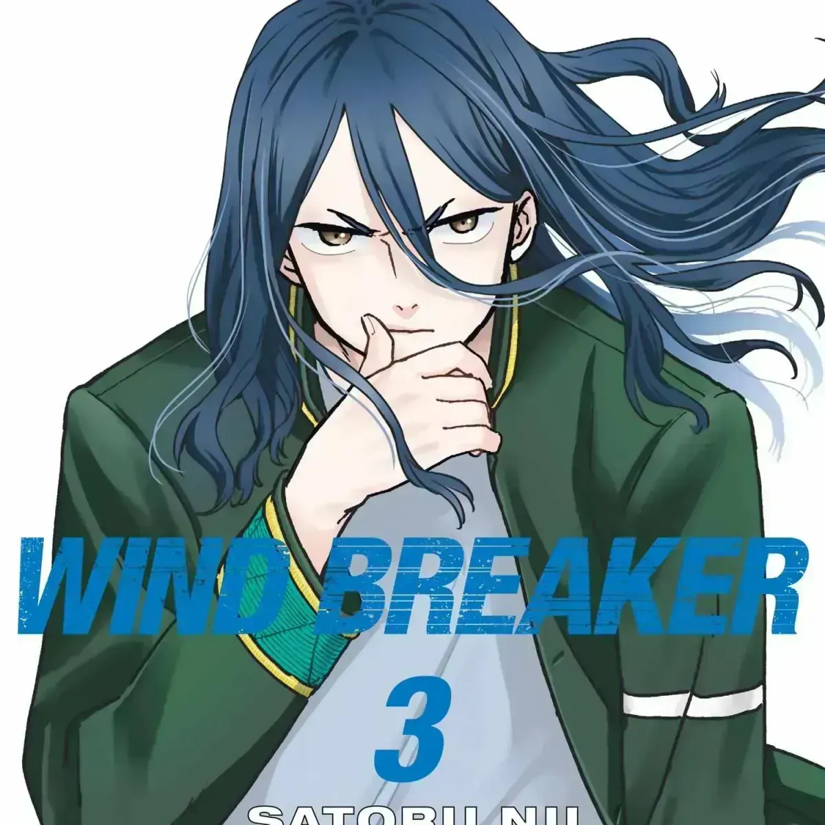 Read WindBreaker chapter 15.8 image 0 on Lezhin