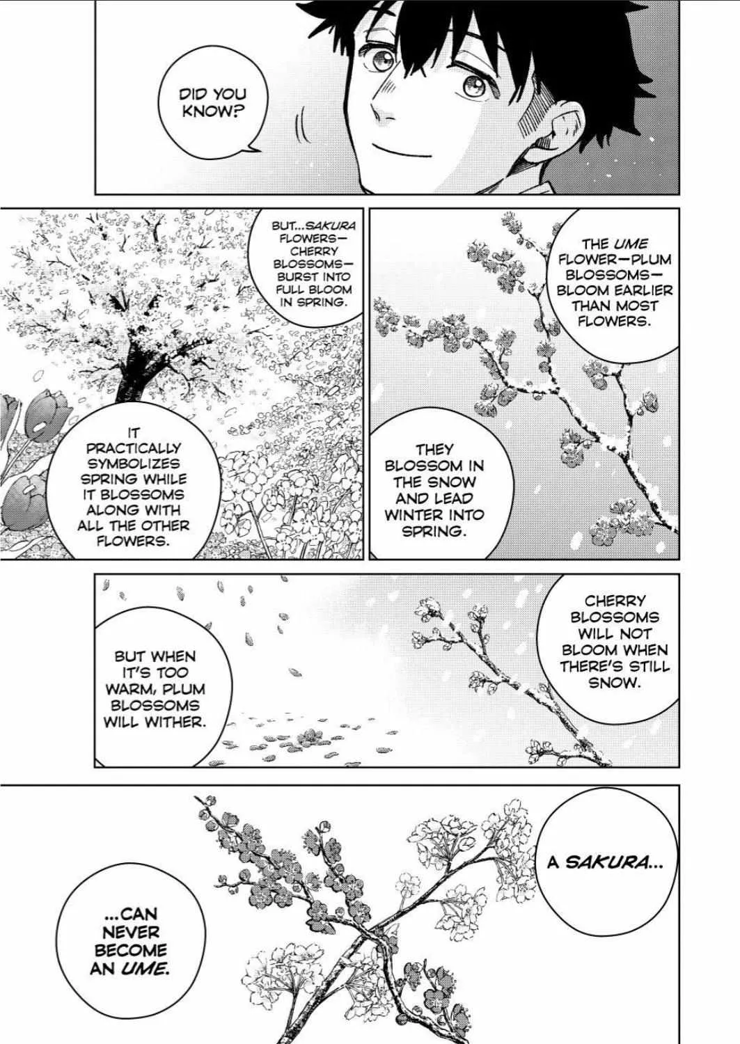 Read WindBreaker chapter 181 image 22 on Lezhin