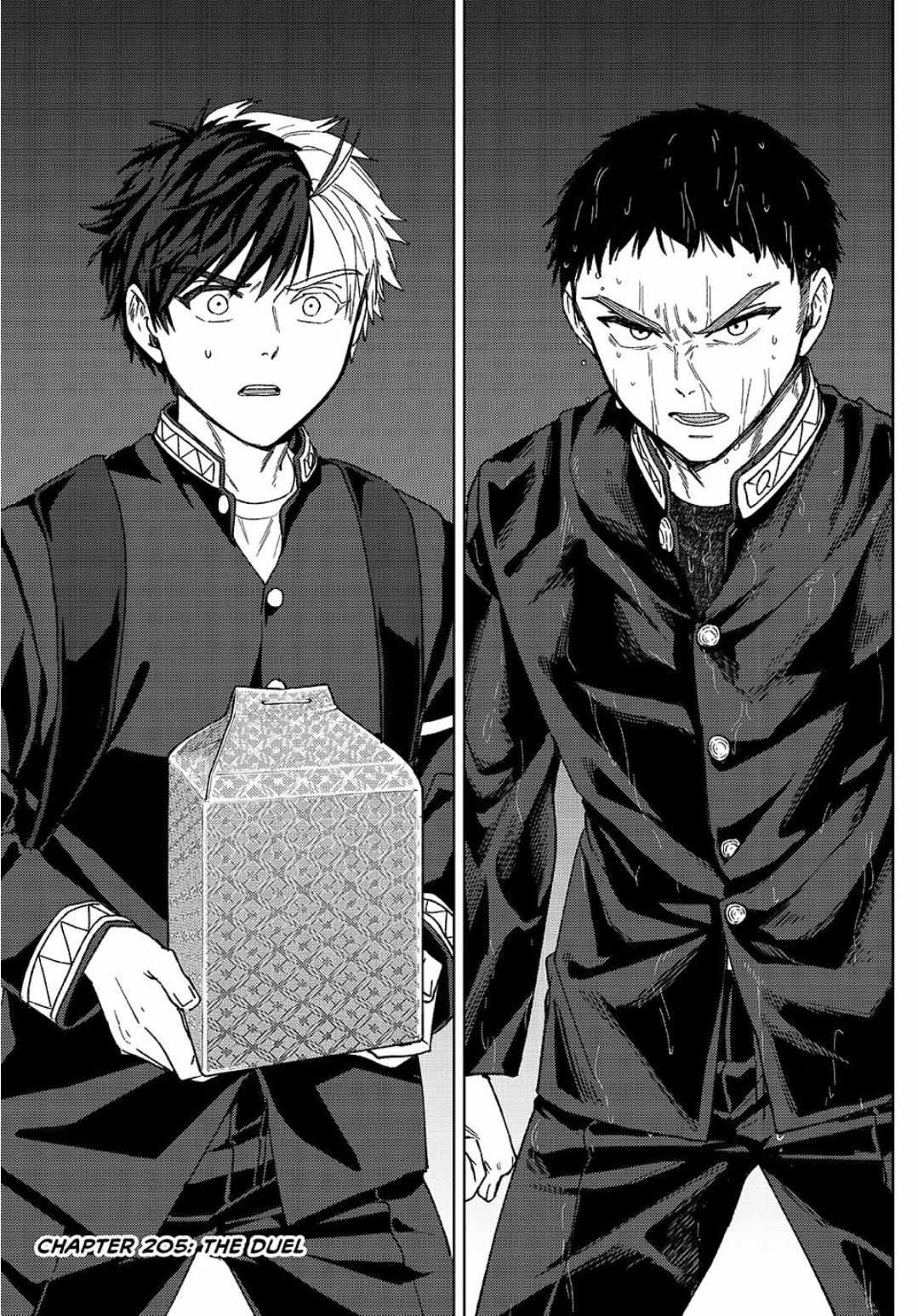 Read WindBreaker chapter 205 image 1 on Lezhin