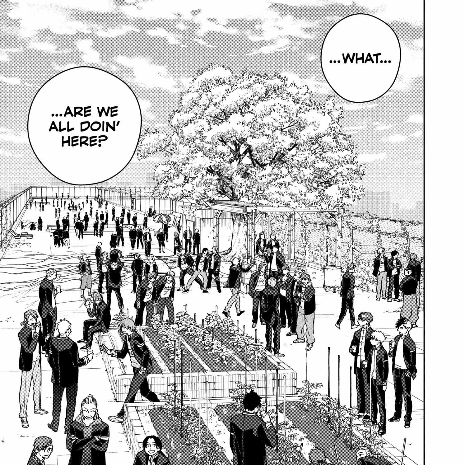 Read WindBreaker chapter 62 image 5 on Lezhin
