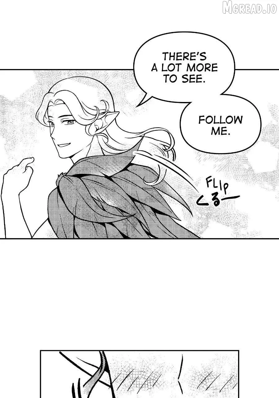 Read Wings of Starlight chapter 13 image 27 on Lezhin