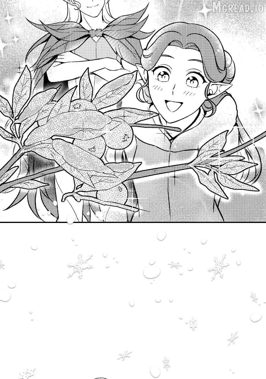 Read Wings of Starlight chapter 13 image 34 on Lezhin