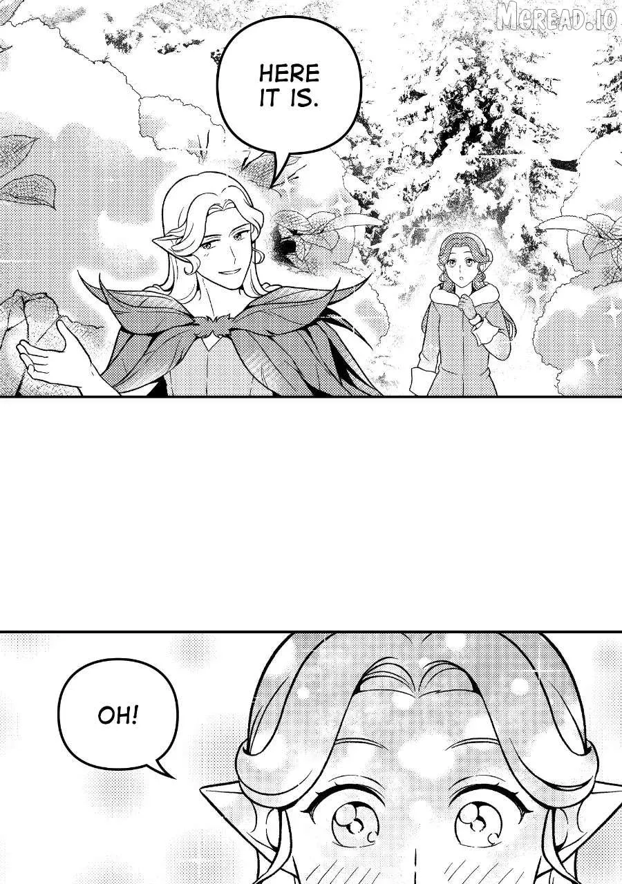 Read Wings of Starlight chapter 13 image 36 on Lezhin