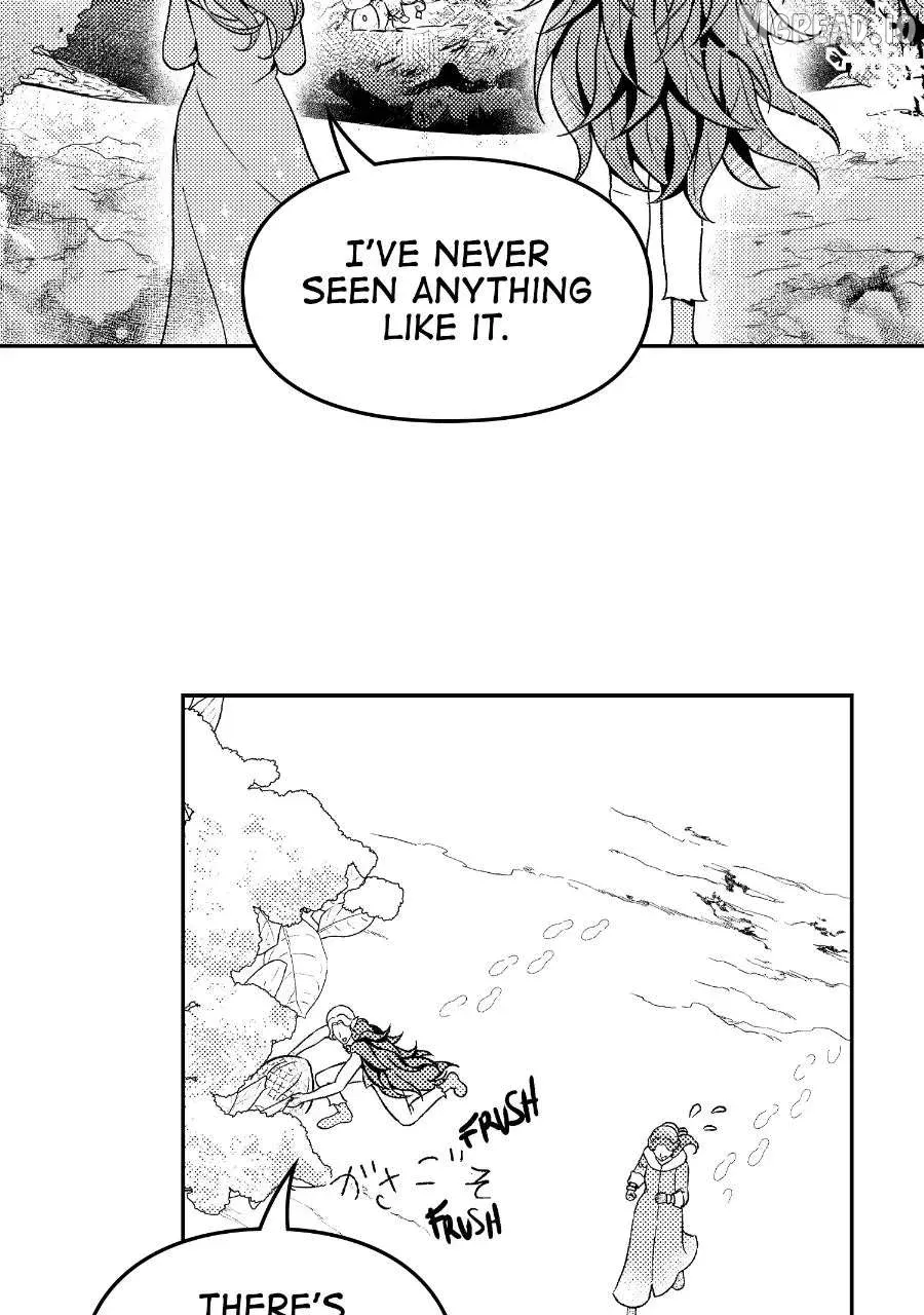 Read Wings of Starlight chapter 13 image 38 on Lezhin