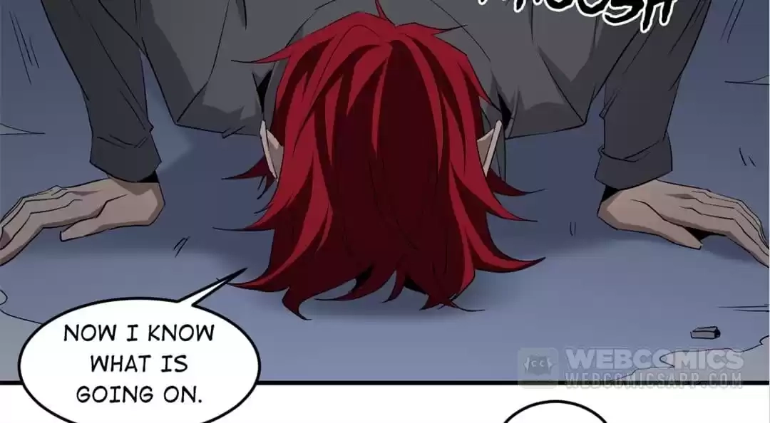 Winner Takes All Chapter 167 page 36 - 