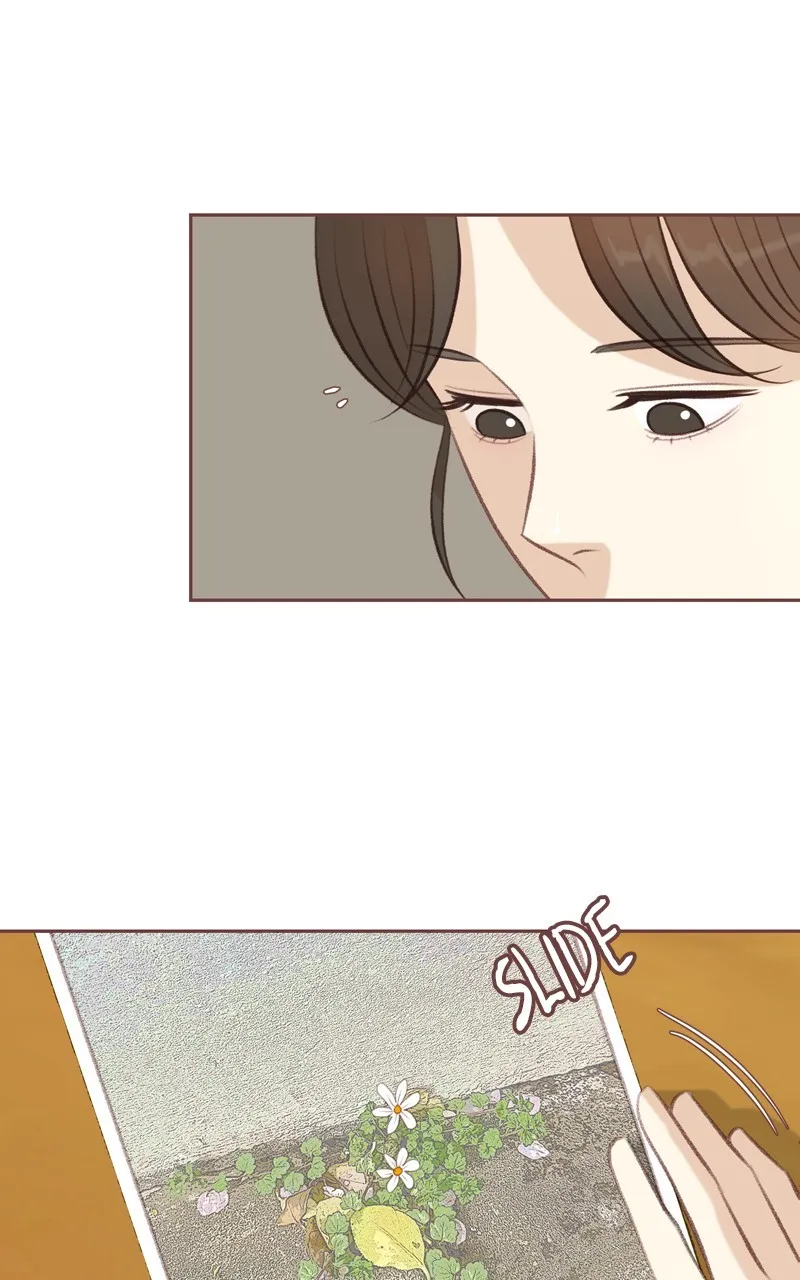 Read Winter Breeze chapter 14 image 42 on Lezhin
