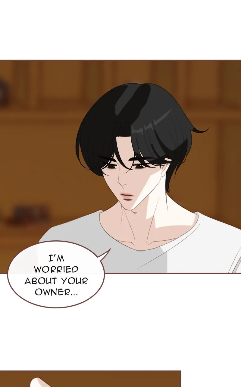 Read Winter Breeze chapter 22 image 47 on Lezhin