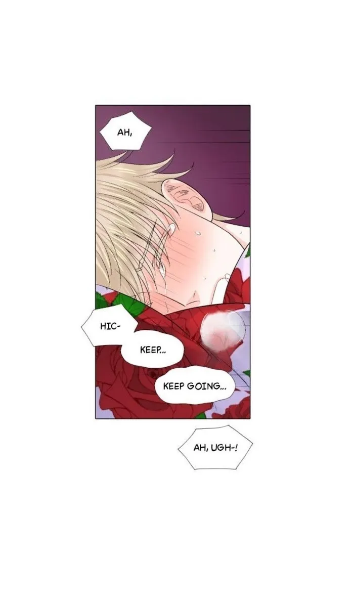Wish Me Love Chapter 34 page 1 - 