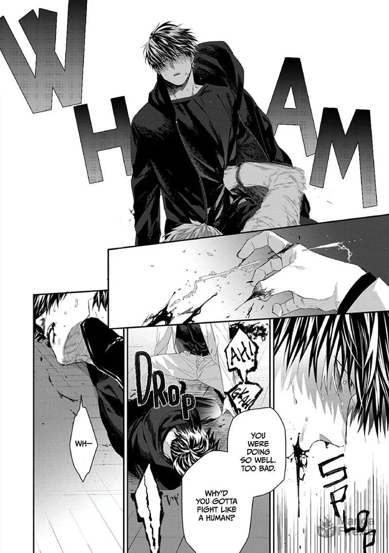Read Witch and Cat chapter 3 image 23 on Lezhin